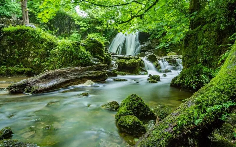 智能系统高效智慧